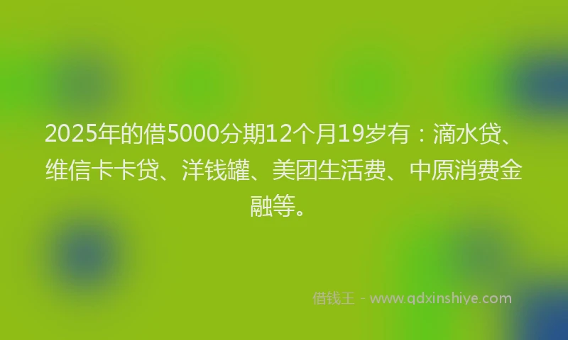 2025年的借5000分期12个月19岁有：滴水贷、维信卡卡贷、洋钱罐、美团生活费、中原消费金融等。