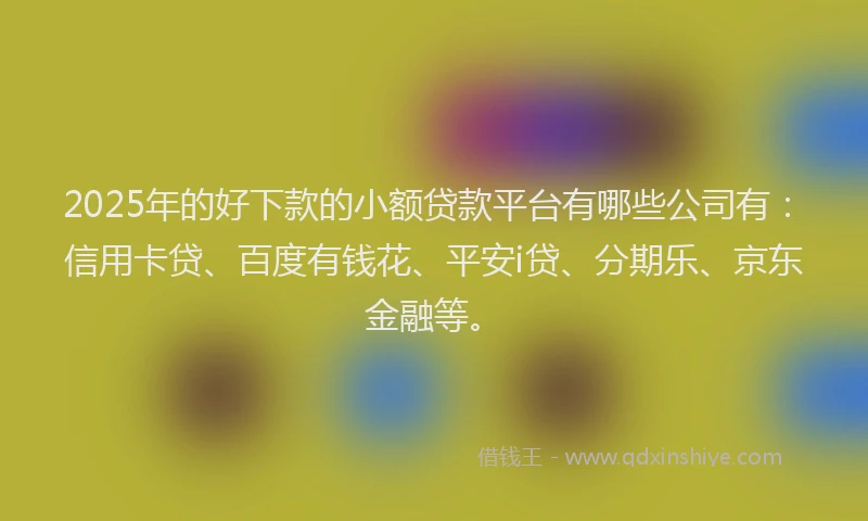 2025年的好下款的小额贷款平台有哪些公司有：信用卡贷、百度有钱花、平安i贷、分期乐、京东金融等。
