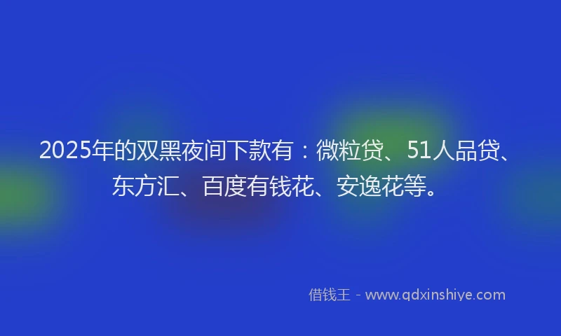 2025年的双黑夜间下款有：微粒贷、51人品贷、东方汇、百度有钱花、安逸花等。
