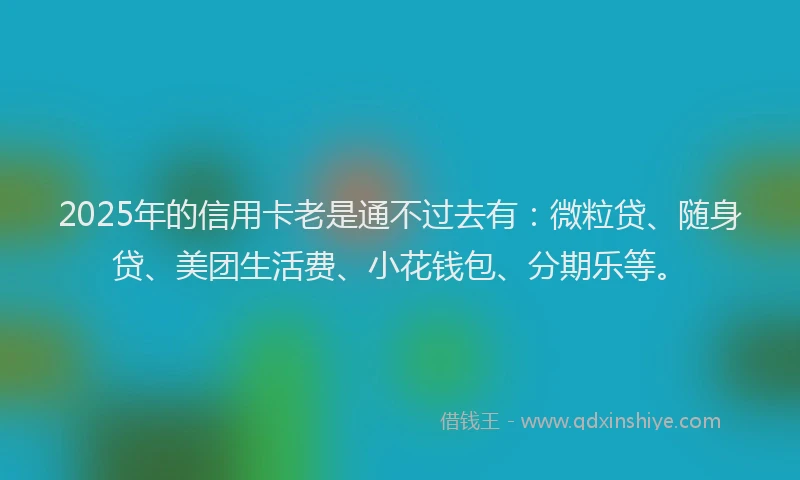 2025年的信用卡老是通不过去有：微粒贷、随身贷、美团生活费、小花钱包、分期乐等。