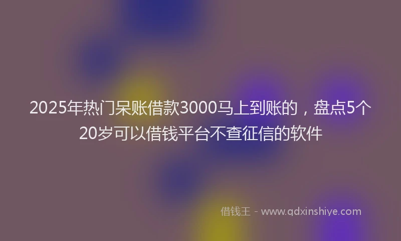 2025年热门呆账借款3000马上到账的，盘点5个20岁可以借钱平台不查征信的软件