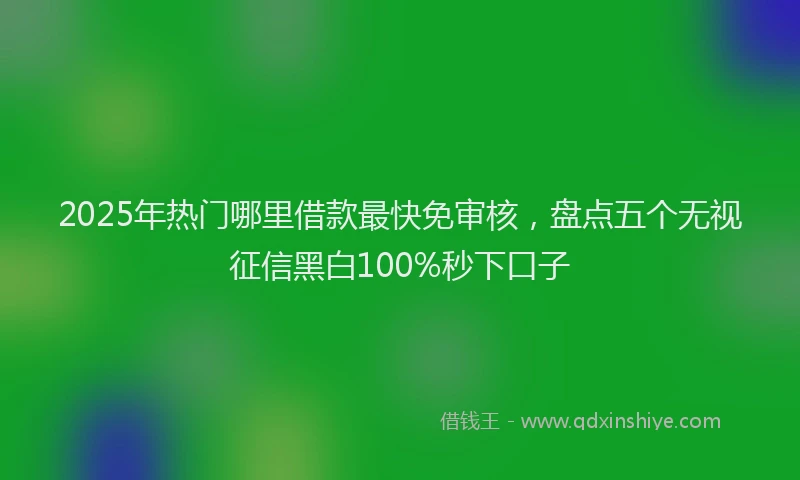 2025年热门哪里借款最快免审核，盘点五个无视征信黑白100%秒下口子