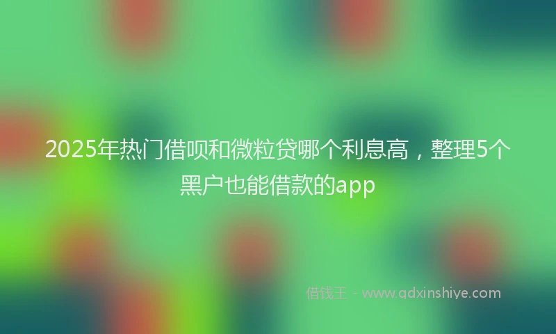 2025年热门借呗和微粒贷哪个利息高，整理5个黑户也能借款的app