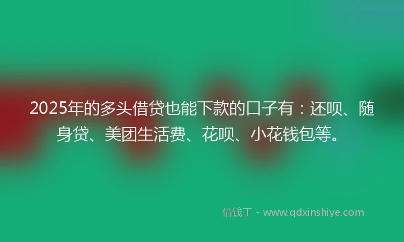 2025年的多头借贷也能下款的口子有：还呗、随身贷、美团生活费、花呗、小花钱包等。