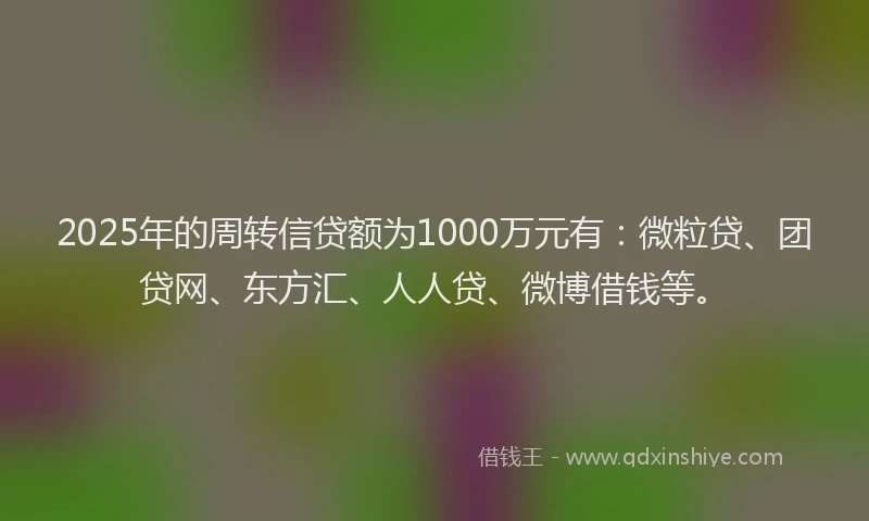 2025年的周转信贷额为1000万元有：微粒贷、团贷网、东方汇、人人贷、微博借钱等。