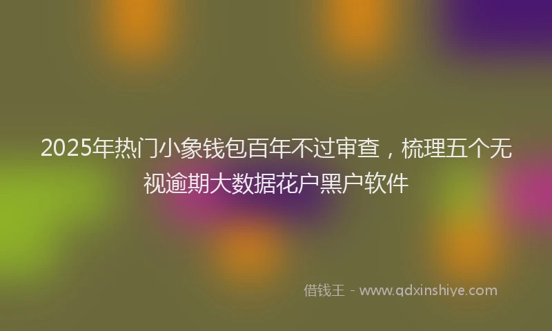 2025年热门小象钱包百年不过审查，梳理五个无视逾期大数据花户黑户软件