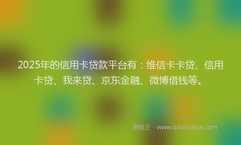 2025年的信用卡贷款平台有：维信卡卡贷、信用卡贷、我来贷、京东金融、微博借钱等。