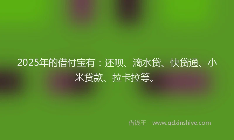 2025年的借付宝有：还呗、滴水贷、快贷通、小米贷款、拉卡拉等。