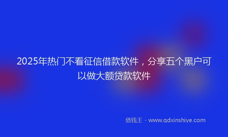 2025年热门不看征信借款软件，分享五个黑户可以做大额贷款软件