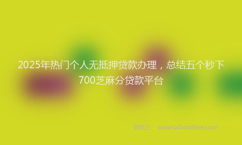 2025年热门个人无抵押贷款办理，总结五个秒下700芝麻分贷款平台