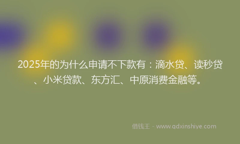 2025年的为什么申请不下款有：滴水贷、读秒贷、小米贷款、东方汇、中原消费金融等。