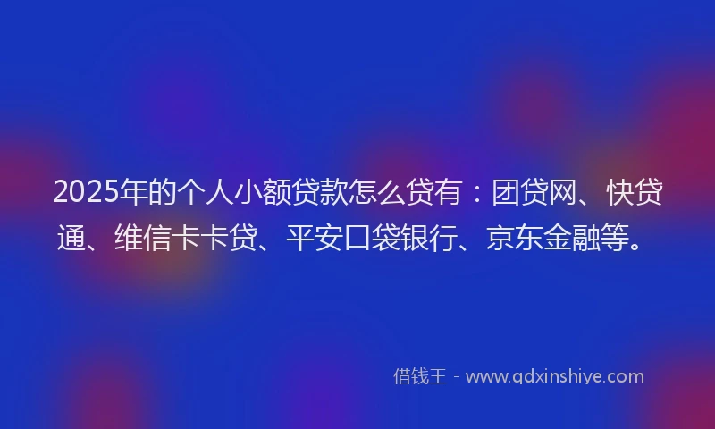 2025年的个人小额贷款怎么贷有：团贷网、快贷通、维信卡卡贷、平安口袋银行、京东金融等。