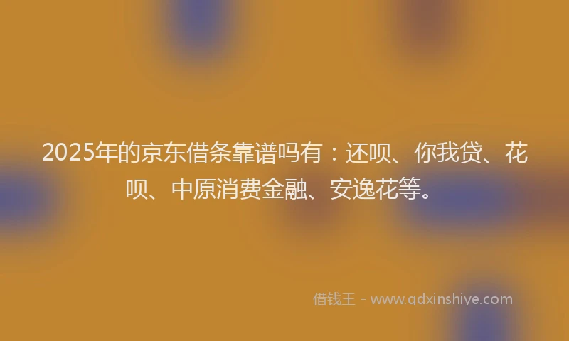 2025年的京东借条靠谱吗有：还呗、你我贷、花呗、中原消费金融、安逸花等。