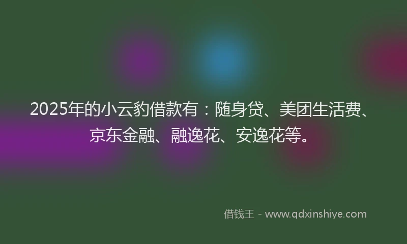 2025年的小云豹借款有：随身贷、美团生活费、京东金融、融逸花、安逸花等。