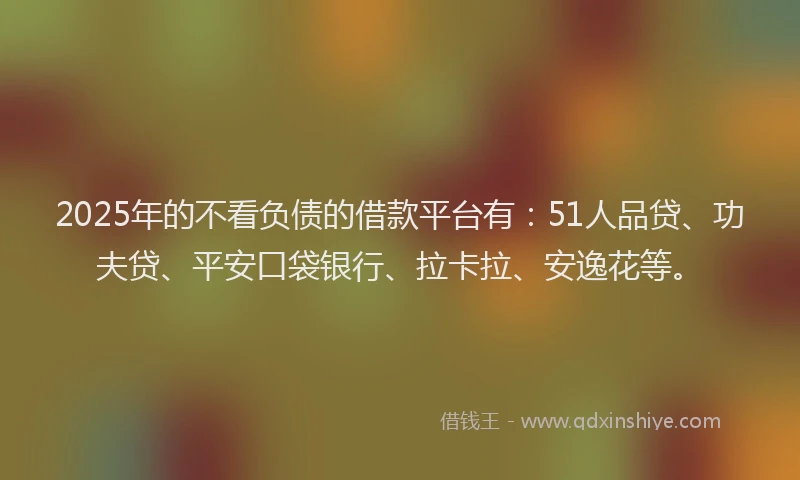 2025年的不看负债的借款平台有：51人品贷、功夫贷、平安口袋银行、拉卡拉、安逸花等。