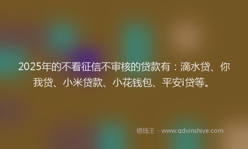 2025年的不看征信不审核的贷款有：滴水贷、你我贷、小米贷款、小花钱包、平安i贷等。