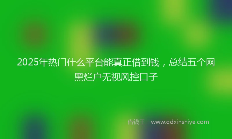 2025年热门什么平台能真正借到钱，总结五个网黑烂户无视风控口子