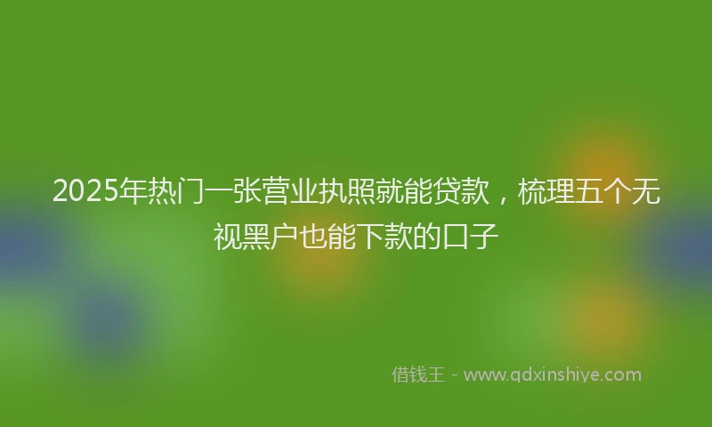 2025年热门一张营业执照就能贷款，梳理五个无视黑户也能下款的口子