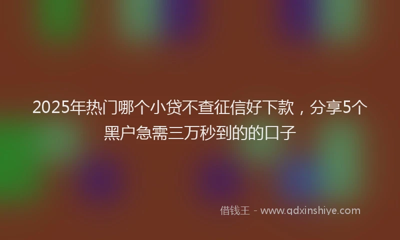 2025年热门哪个小贷不查征信好下款，分享5个黑户急需三万秒到的的口子