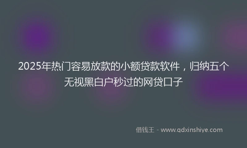2025年热门容易放款的小额贷款软件，归纳五个无视黑白户秒过的网贷口子