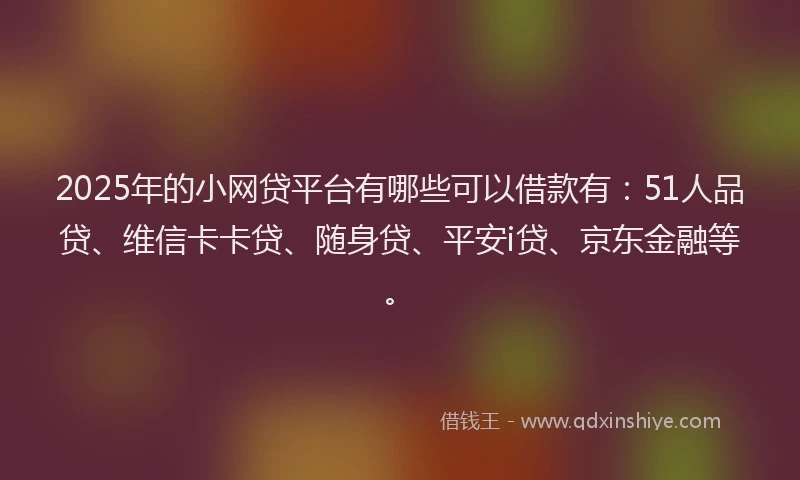 2025年的小网贷平台有哪些可以借款有：51人品贷、维信卡卡贷、随身贷、平安i贷、京东金融等。