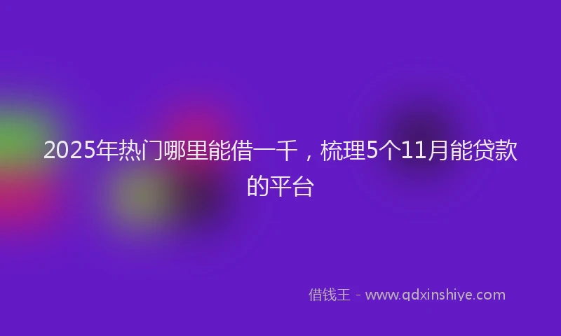 2025年热门哪里能借一千，梳理5个11月能贷款的平台