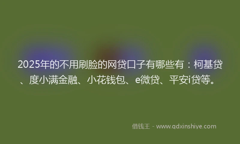 2025年的不用刷脸的网贷口子有哪些有：柯基贷、度小满金融、小花钱包、e微贷、平安i贷等。