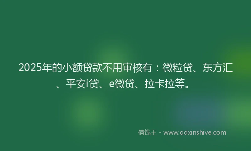 2025年的小额贷款不用审核有：微粒贷、东方汇、平安i贷、e微贷、拉卡拉等。