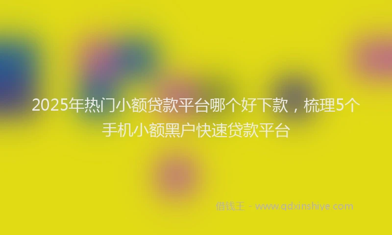 2025年热门小额贷款平台哪个好下款，梳理5个手机小额黑户快速贷款平台