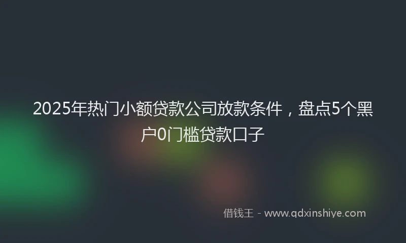2025年热门小额贷款公司放款条件，盘点5个黑户0门槛贷款口子