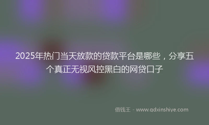 2025年热门当天放款的贷款平台是哪些，分享五个真正无视风控黑白的网贷口子