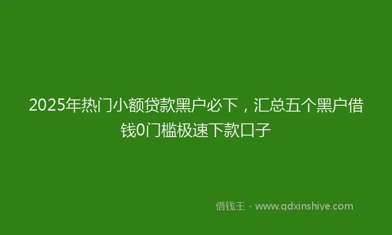 2025年热门小额贷款黑户必下，汇总五个黑户借钱0门槛极速下款口子