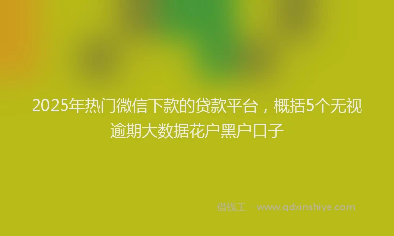 2025年热门微信下款的贷款平台，概括5个无视逾期大数据花户黑户口子