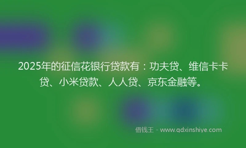 2025年的征信花银行贷款有：功夫贷、维信卡卡贷、小米贷款、人人贷、京东金融等。