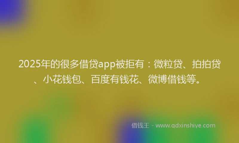 2025年的很多借贷app被拒有：微粒贷、拍拍贷、小花钱包、百度有钱花、微博借钱等。
