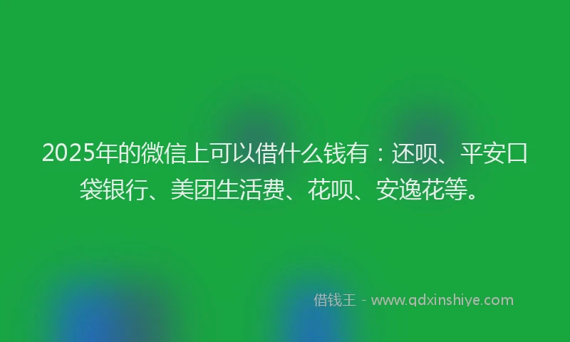 2025年的微信上可以借什么钱有：还呗、平安口袋银行、美团生活费、花呗、安逸花等。