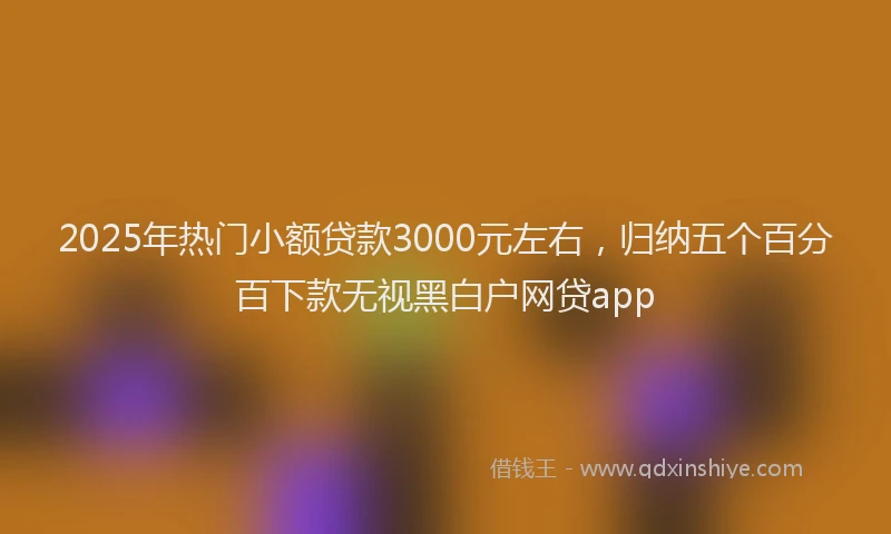 2025年热门小额贷款3000元左右,归纳五个百分百下款无视黑白户网贷app