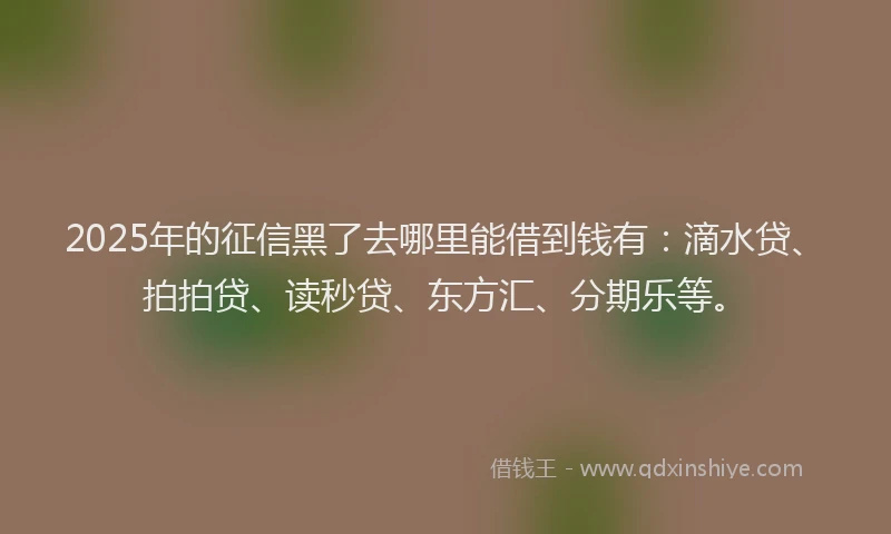 2025年的征信黑了去哪里能借到钱有：滴水贷、拍拍贷、读秒贷、东方汇、分期乐等。