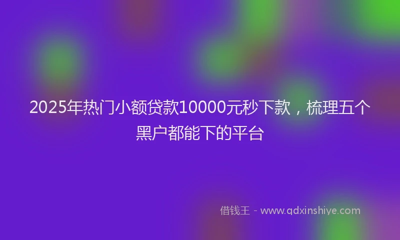 2025年热门小额贷款10000元秒下款，梳理五个黑户都能下的平台