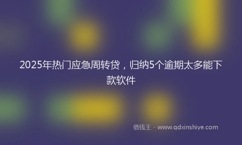 2025年热门应急周转贷，归纳5个逾期太多能下款软件