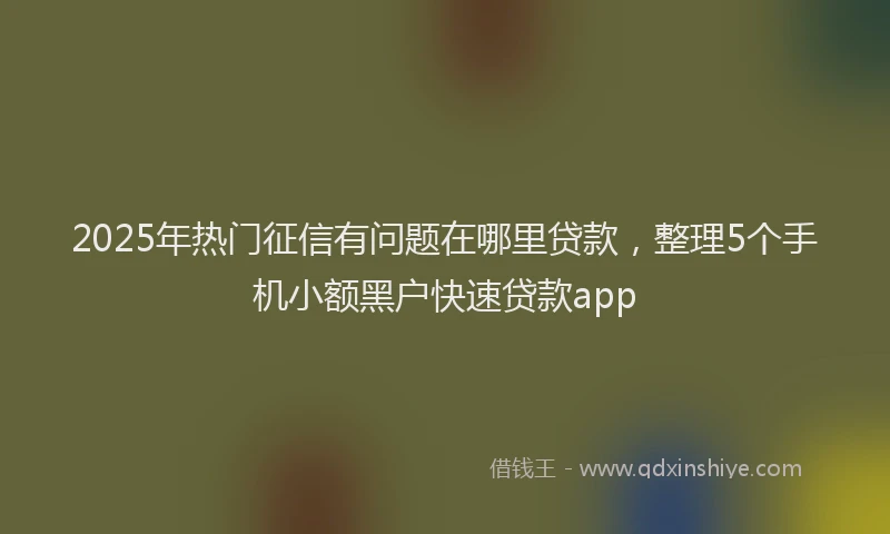 2025年热门征信有问题在哪里贷款，整理5个手机小额黑户快速贷款app