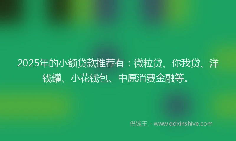 2025年的小额贷款推荐有：微粒贷、你我贷、洋钱罐、小花钱包、中原消费金融等。