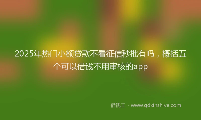 2025年热门小额贷款不看征信秒批有吗，概括五个可以借钱不用审核的app