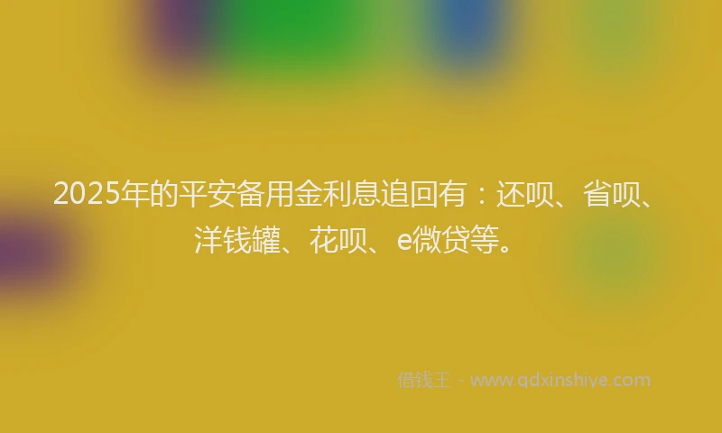2025年的平安备用金利息追回有：还呗、省呗、洋钱罐、花呗、e微贷等。