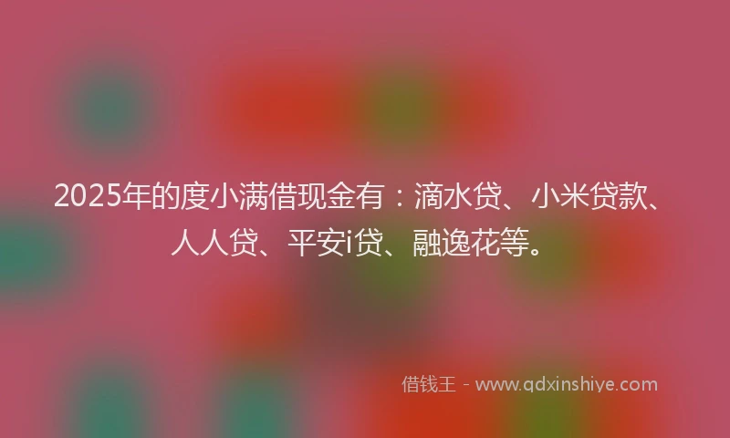 2025年的度小满借现金有：滴水贷、小米贷款、人人贷、平安i贷、融逸花等。