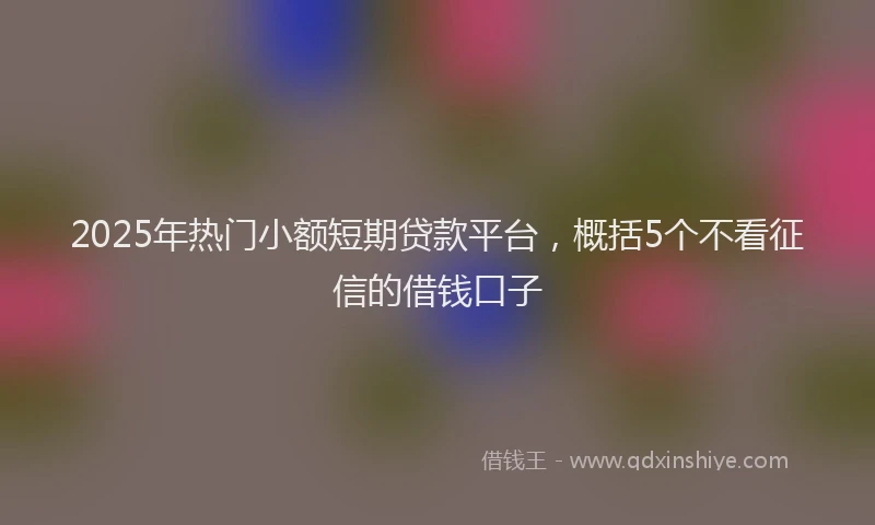 2025年热门小额短期贷款平台，概括5个不看征信的借钱口子