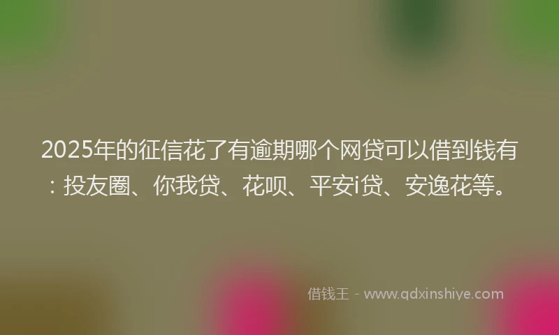 2025年的征信花了有逾期哪个网贷可以借到钱有：投友圈、你我贷、花呗、平安i贷、安逸花等。
