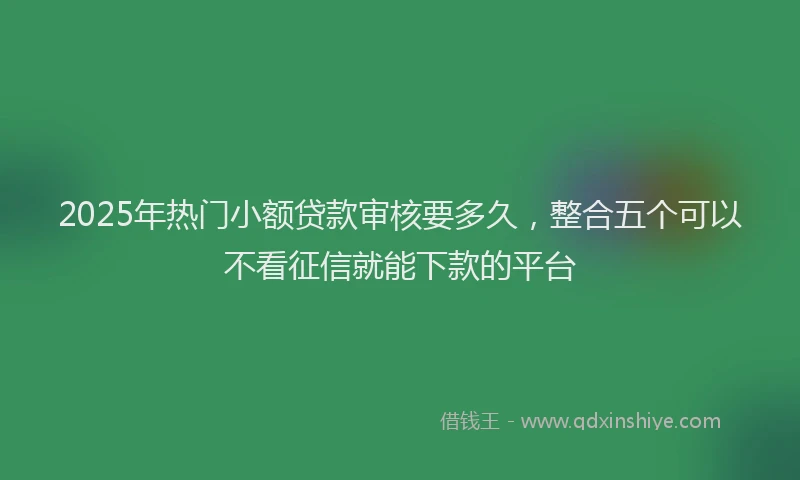 2025年热门小额贷款审核要多久，整合五个可以不看征信就能下款的平台