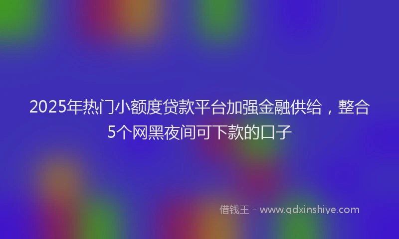 2025年热门小额度贷款平台加强金融供给，整合5个网黑夜间可下款的口子