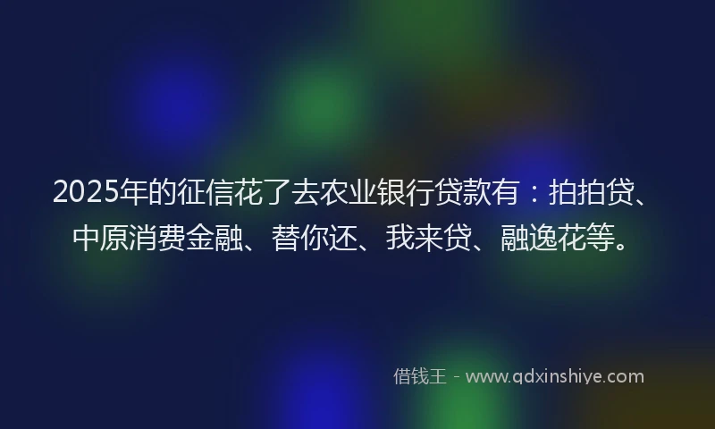 2025年的征信花了去农业银行贷款有：拍拍贷、中原消费金融、替你还、我来贷、融逸花等。
